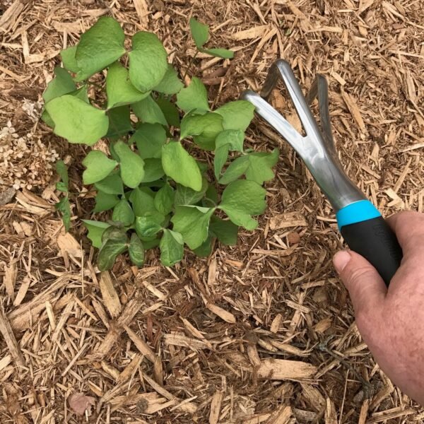 DIG Cultivator - Image 4