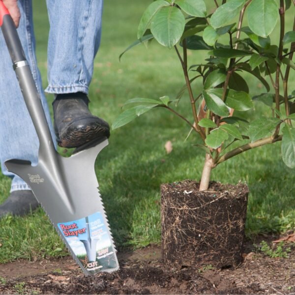 Root Slayer - Image 4
