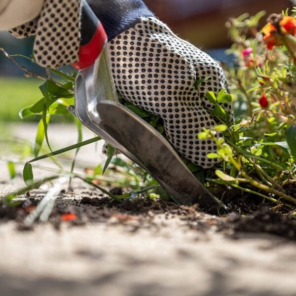 Radius Red Weeder - Image 3