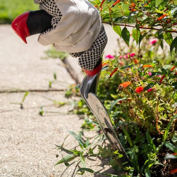 Radius Red Weeder - Image 4