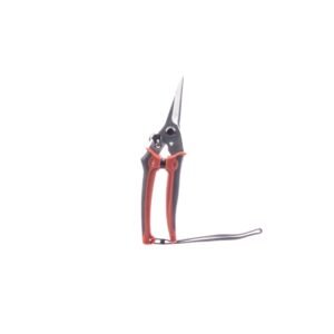8" Fine Pruner