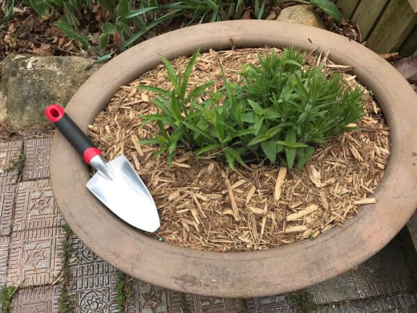 DIG Trowel - Image 4